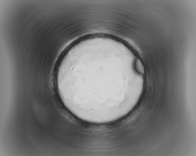 X0000115160879200911241547