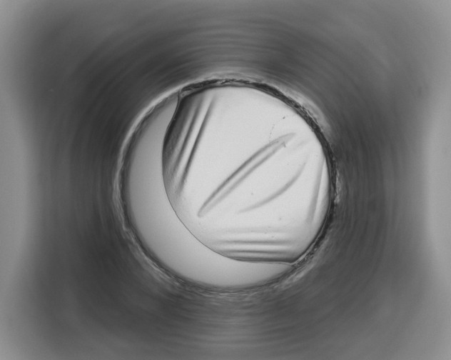 X0000115160880200911241547