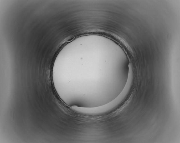 X0000115160881200911241547