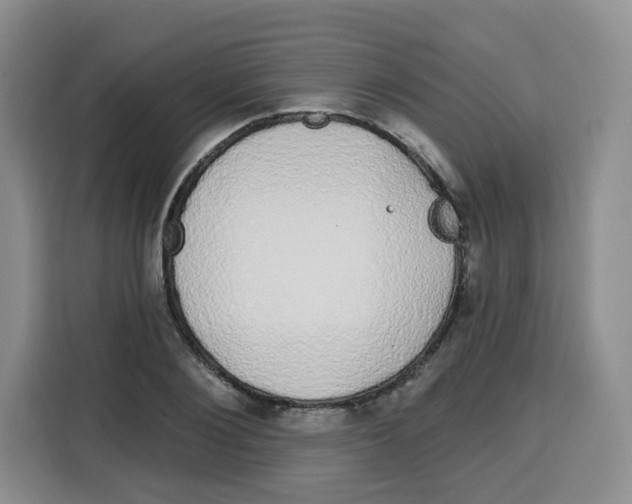 X0000115160884200911241547