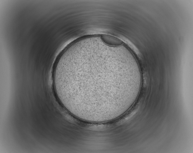 X0000115160885200911241547