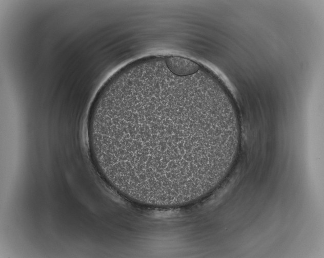 X0000115160887200911241547