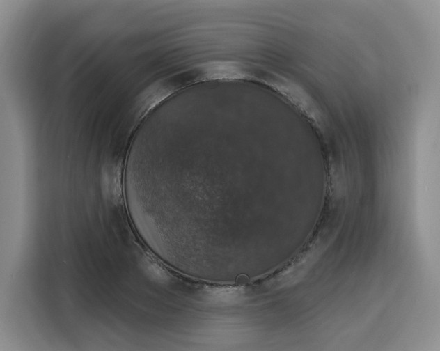 X0000115160889200911241547