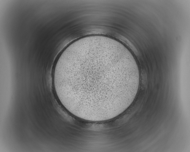 X0000115160890200911241547