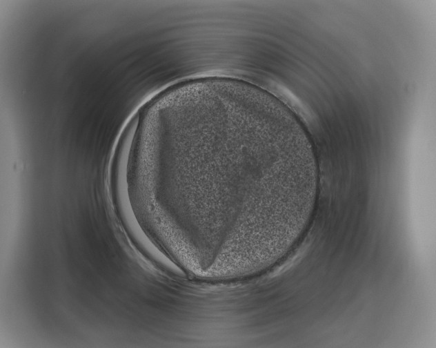 X0000115160892200911241547