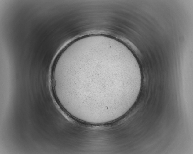 X0000115160894200911241546