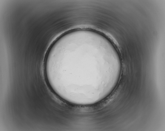 X0000115160895200911241546