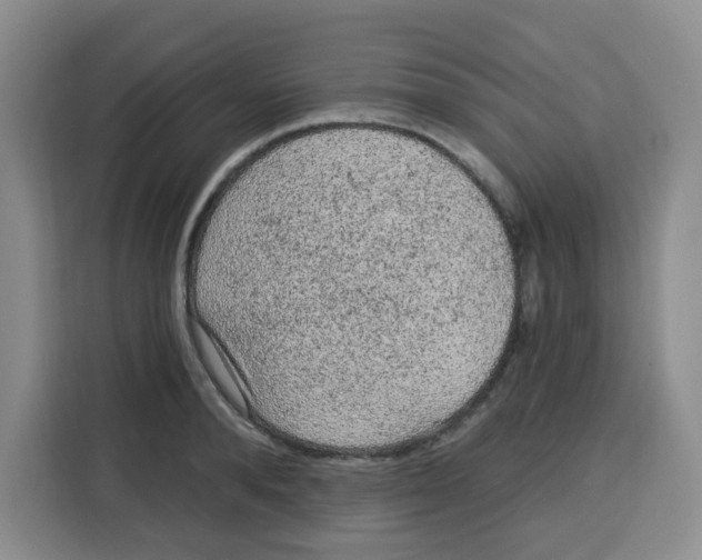 X0000115160896200911241546