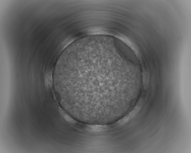 X0000115160897200911241546