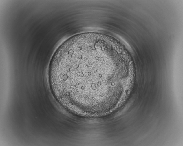 X0000115160899200911241546