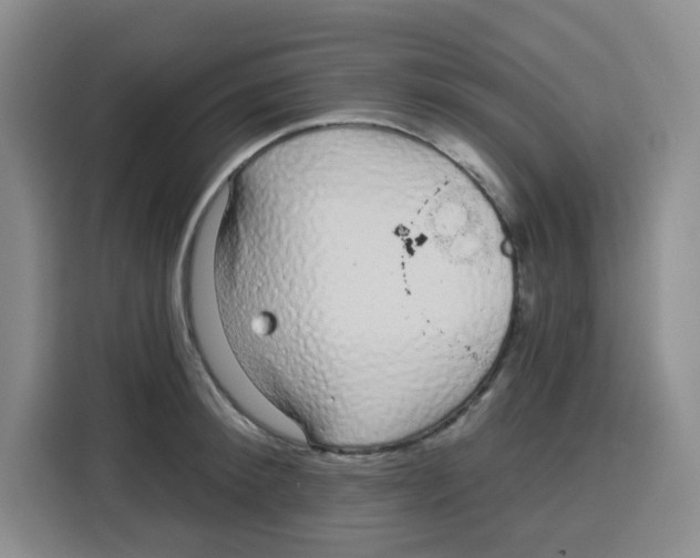 X0000115160900200911241546