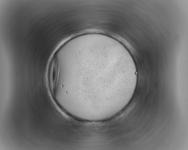 X0000115160902200911241546