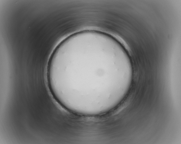 X0000115160903200911241546