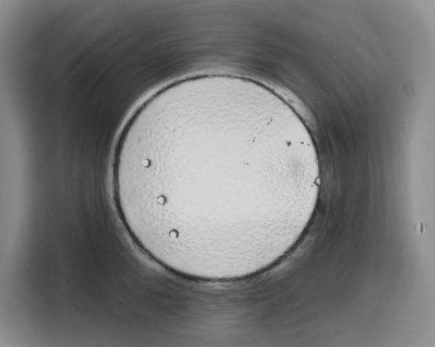 X0000115160904200911241546