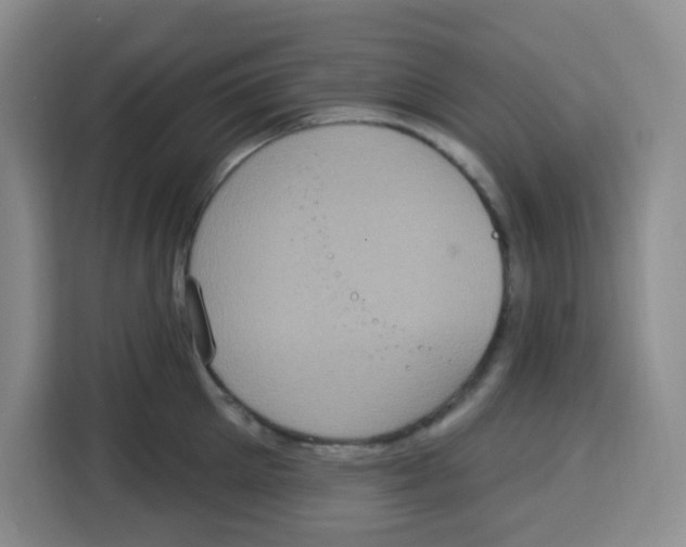 X0000115160905200911241546