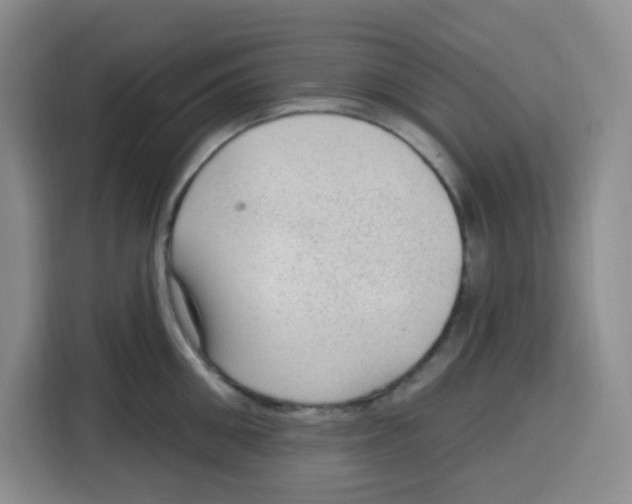 X0000115160906200911241546