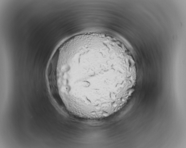 X0000115160907200911241546