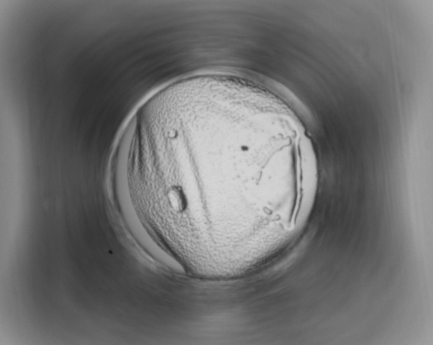 X0000115160908200911241546