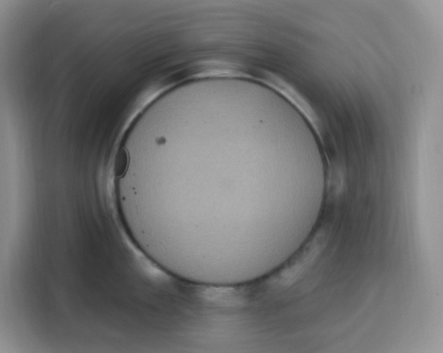 X0000115160909200911241546