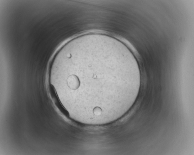 X0000115160910200911241546