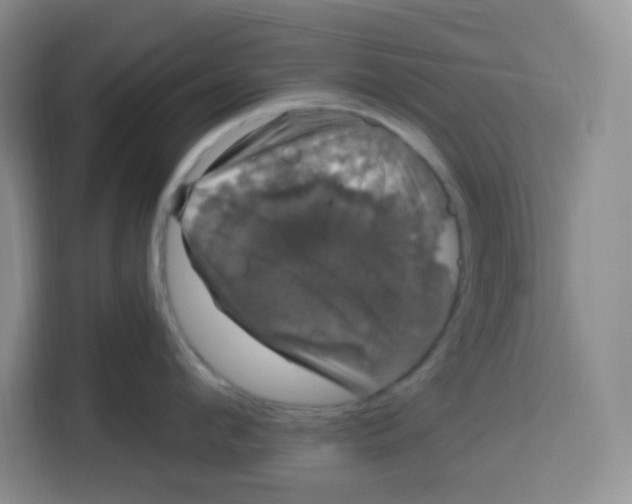 X0000115160912200911241546