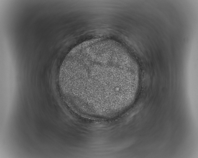 X0000115160913200911241546