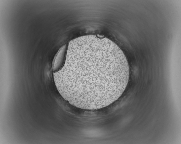 X0000115160914200911241546