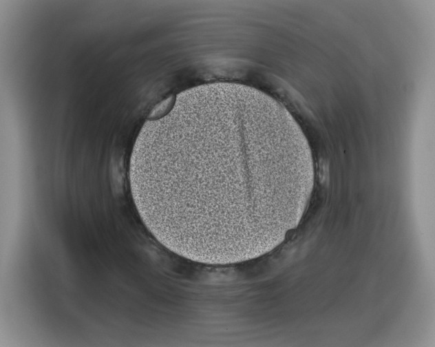 X0000115160915200911241546