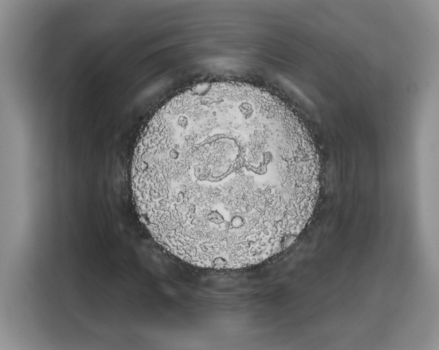 X0000115160917200911241546