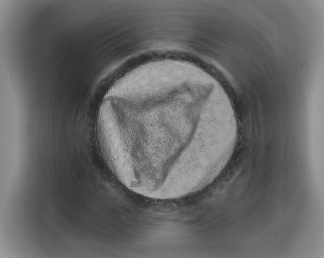 X0000115160919200911241546