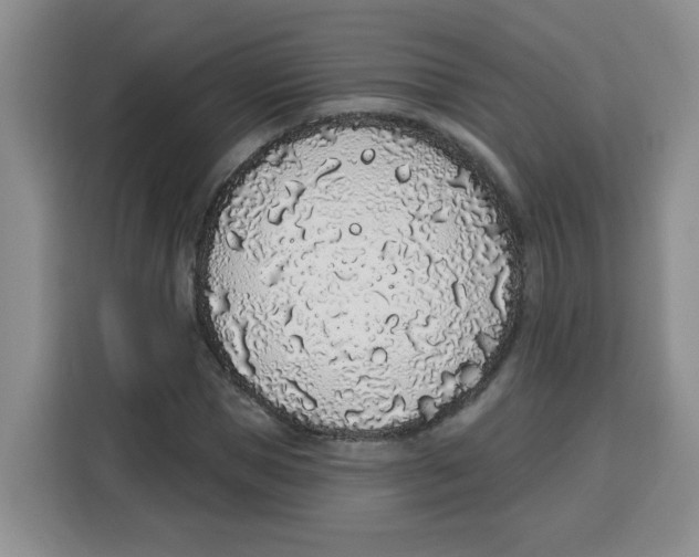 X0000115160921200911241546