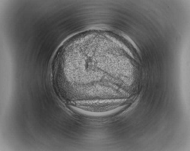 X0000115160923200911241546