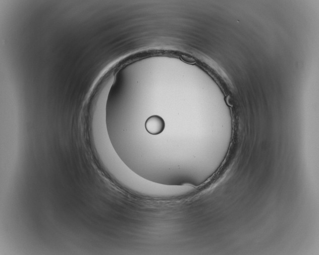 X0000115160926200911241546