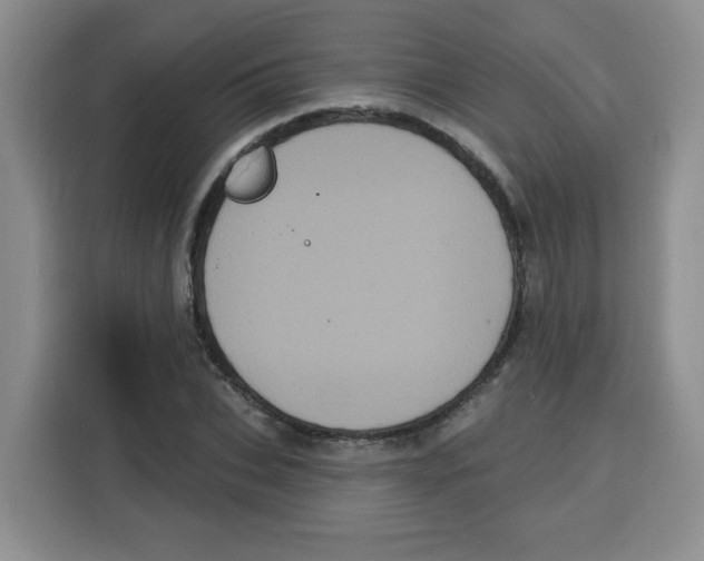 X0000115160927200911241546