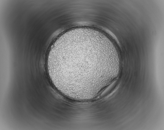 X0000115160930200911241546