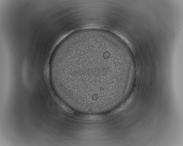 X0000115160933200911241546