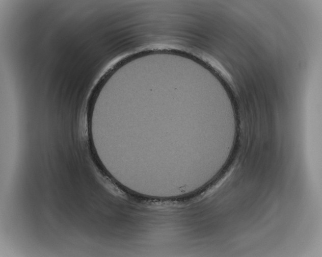 X0000115160934200911241546