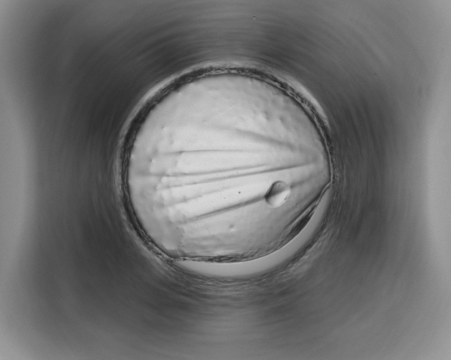 X0000115160935200911241546