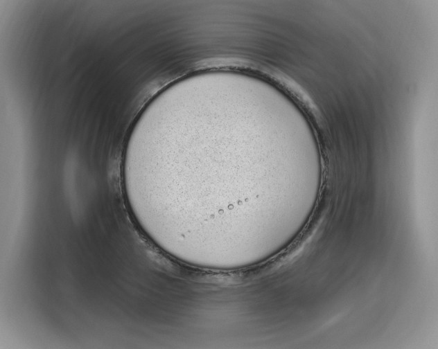 X0000115160937200911241546