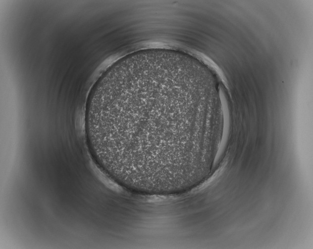 X0000115160938200911241546