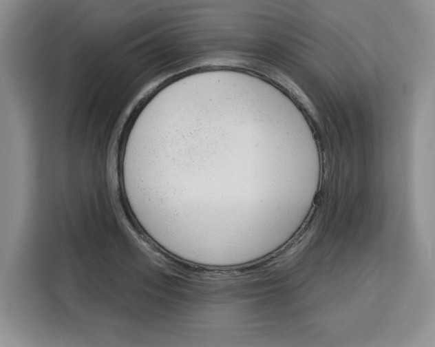 X0000115160939200911241546