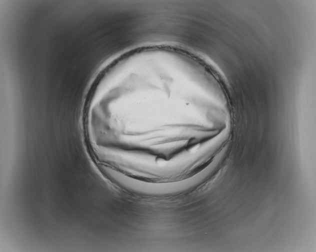 X0000115160943200911241546