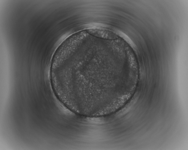 X0000115160946200911241546