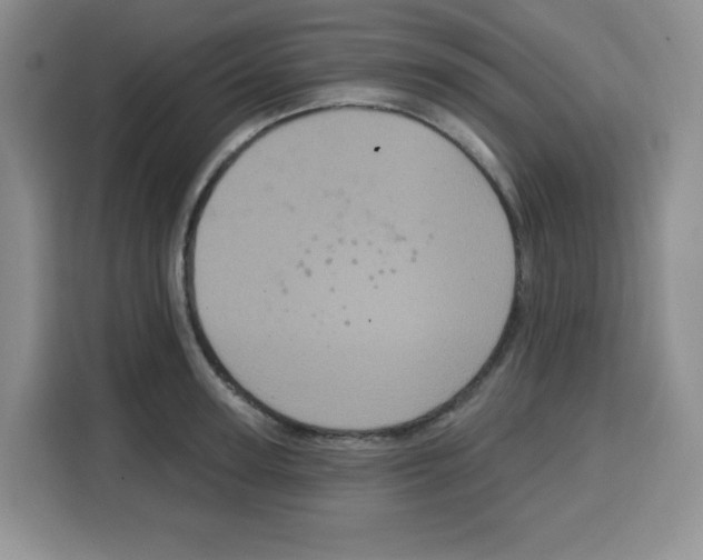 X0000115160947200911241546