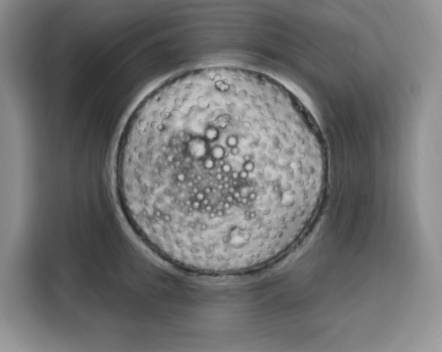 X0000115160949200911241546