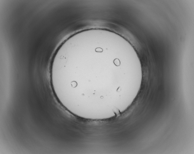 X0000115160950200911241546