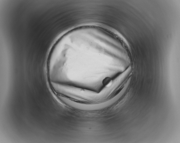 X0000115160951200911241546