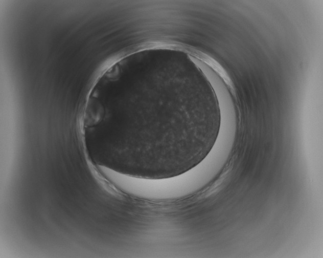 X0000115160954200911241546