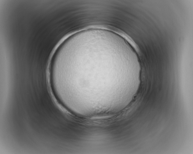 X0000115160955200911241546