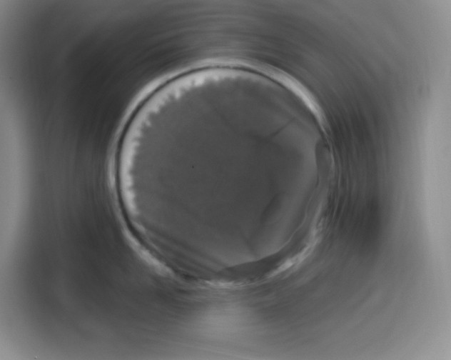 X0000115160958200911241546